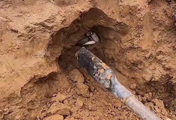 Foto - Dedektörle bulup çuvala doldurdular! Toprağın altından yüzlercesi çıktı