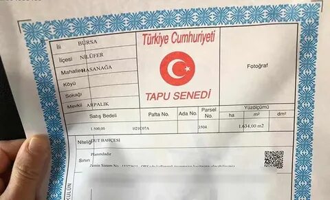 Foto - Dedem adına kayıtlı bir taşınmaz olup olmadığını nereden nasıl öğrenebilirim?