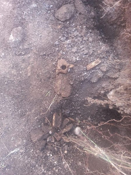 Foto - Define avcıları o bölgeyi delik deşik etti