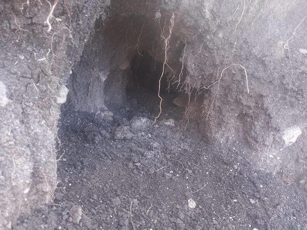 Foto - Define avcıları o bölgeyi delik deşik etti