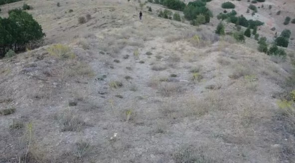 Foto - Define savaşı! 'Altında altın var'