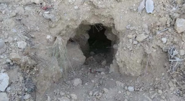 Foto - Define savaşı! 'Altında altın var'