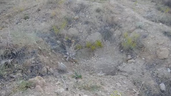 Foto - Define savaşı! 'Altında altın var'