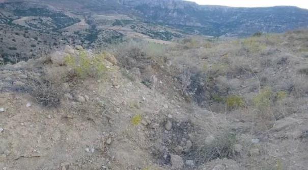 Foto - Define savaşı! 'Altında altın var'