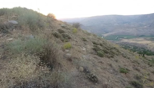Foto - Define savaşı! 'Altında altın var'
