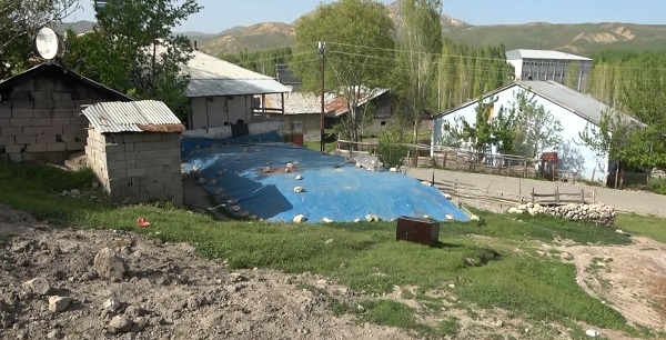 Foto - Defineciler bir kez daha 'yok artık' dedirtti! Binlerce yıllık tümülüsün altını böyle oydular