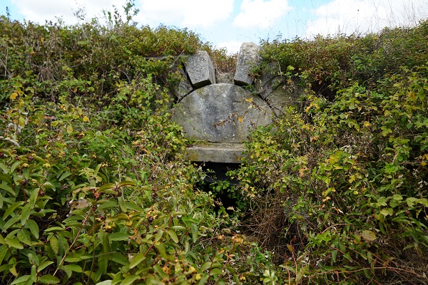 Defineciler talan ediyor! Tarihi yapılar çalıların arasında kayboldu