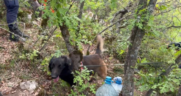 Foto - Definecilerin acı sonu! Mağarada ölü halde bulundular