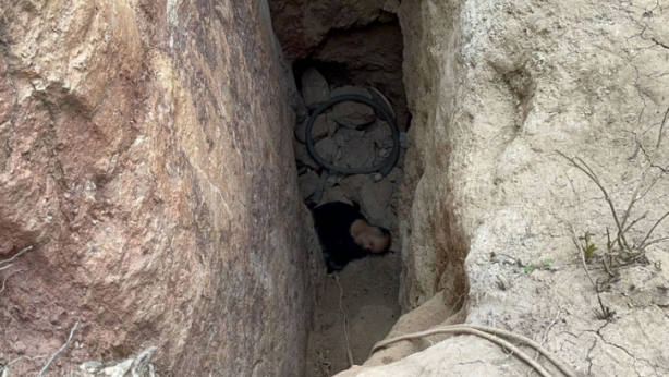 Definecilerin acı sonu! Mağarada ölü halde bulundular