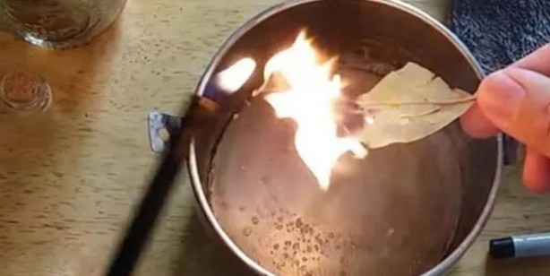 Foto - Defne yaprağı nasıl yakılır? Evde defne yaprağı yakmanın faydaları 