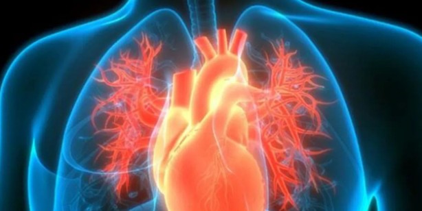 Foto - Defne yaprağı nasıl yakılır? Evde defne yaprağı yakmanın faydaları 