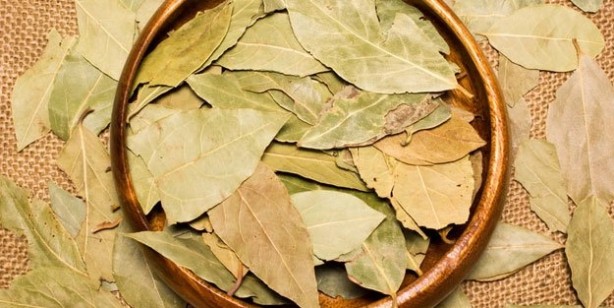 Foto - Defne yaprağı nasıl yakılır? Evde defne yaprağı yakmanın faydaları 