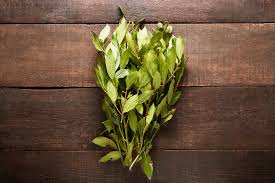 Foto - Defne yaprağı ne işe yarar, neye iyi gelir? Faydası: Kimyasal bileşiklere izin vermiyor, tarihe karışacak gibi