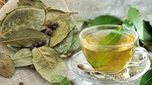 Foto - Defne yaprağı ne işe yarar, neye iyi gelir? Faydası: Kimyasal bileşiklere izin vermiyor, tarihe karışacak gibi