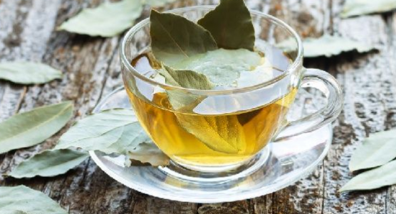 Foto - Defne yaprağının faydaları saymakla bitmiyor: Kokusu bile sakinleştiriyor! Tam yararını hala kimse bilmiyor