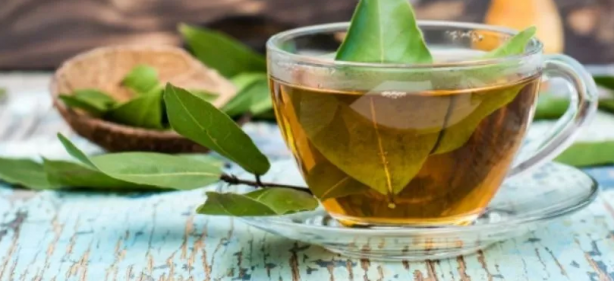 Foto - Defne yaprağının faydaları saymakla bitmiyor: Kokusu bile sakinleştiriyor! Tam yararını hala kimse bilmiyor