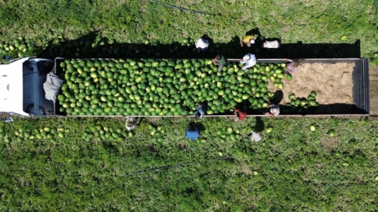 Foto - Değeri 1 TL’ye kadar gerilemişti! O hamleyle 25 kat kazandırdı