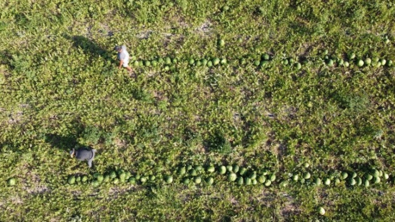 Değeri 1 TL’ye kadar gerilemişti! O hamleyle 25 kat kazandırdı