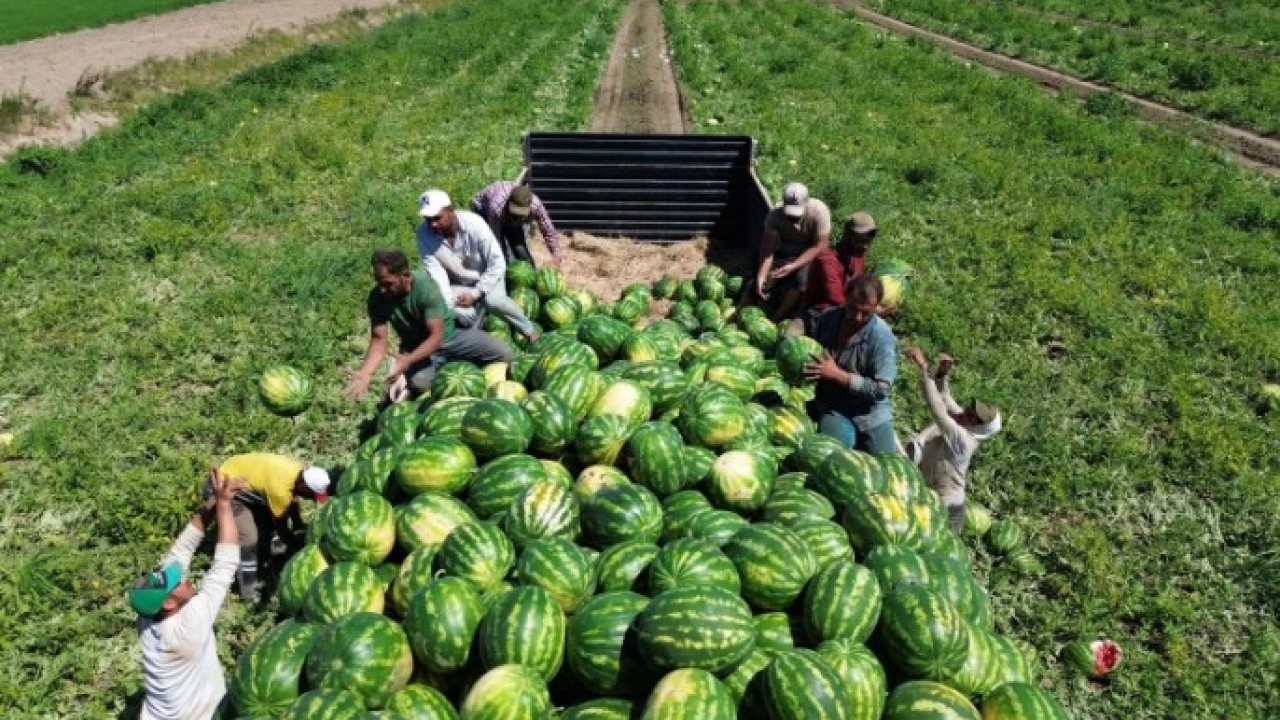 Foto - Değeri 1 TL’ye kadar gerilemişti! O hamleyle 25 kat kazandırdı