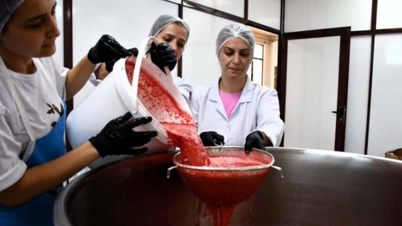 Foto - Değeri 1 TL’ye kadar gerilemişti! O hamleyle 25 kat kazandırdı