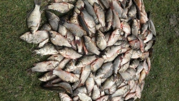 'Değişim var' diyerek büyük tehlikeyi duyurdu! Yılda dokuz kere ürüyor
