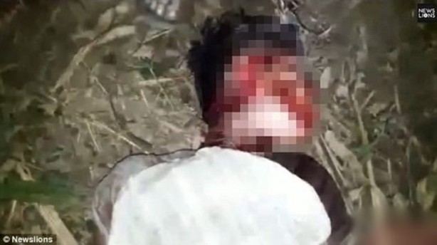 Foto - Dehşet anları kamerada! Avını bırakan kaplan bir anda insanlara saldırdı