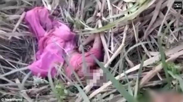 Foto - Dehşet anları kamerada! Avını bırakan kaplan bir anda insanlara saldırdı