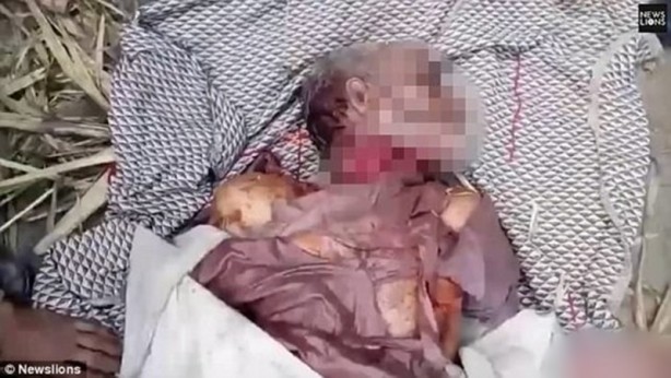 Foto - Dehşet anları kamerada! Avını bırakan kaplan bir anda insanlara saldırdı