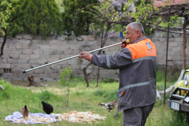 Foto - Dehşet! Sokak köpeği önce çocuğu ısırdı ardından bir başka köpeği boğdu