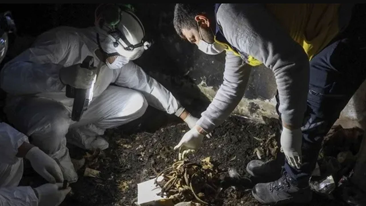 Dehşete düşüren keşif! İşte bu beklenmiyordu