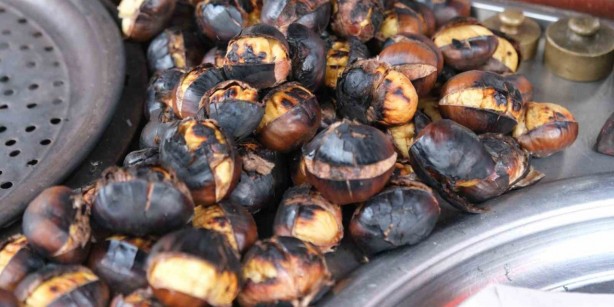 Foto - Dehşete düşüren kestane uyarısı