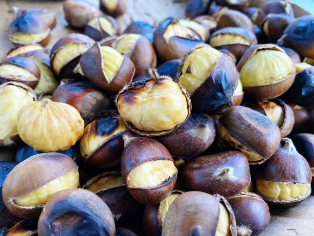 Foto - Dehşete düşüren kestane uyarısı