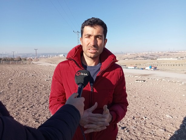 Foto - Dehşete düşüren manzara! Başıboş sokak köpekleri otlayan koyunları parçaladı