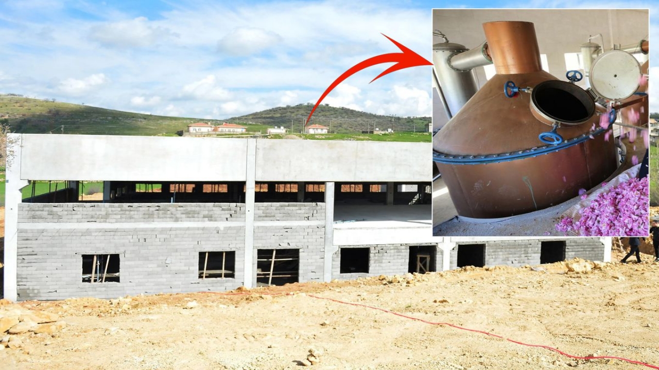 “Deli misin?” diyenlere fabrikayla cevap verdi! Ünlü sanatçı, arabalarını ve evlerini satıp 78 haneli köyüne yatırdı