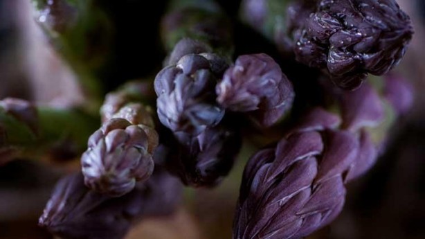 Demans, diyabet ve Alzheimer için şifa! Suyunu bal ile karıştırırsanız bakın ne oluyor