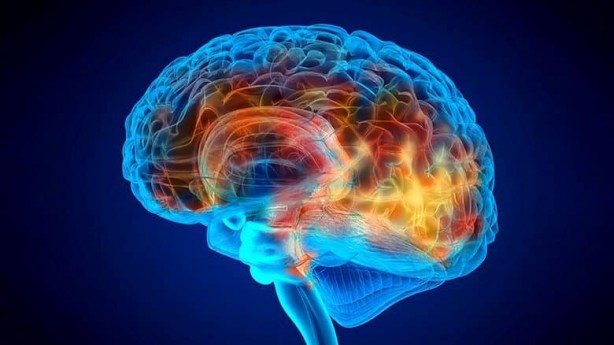 Foto - Demansın 10 erken belirtisi