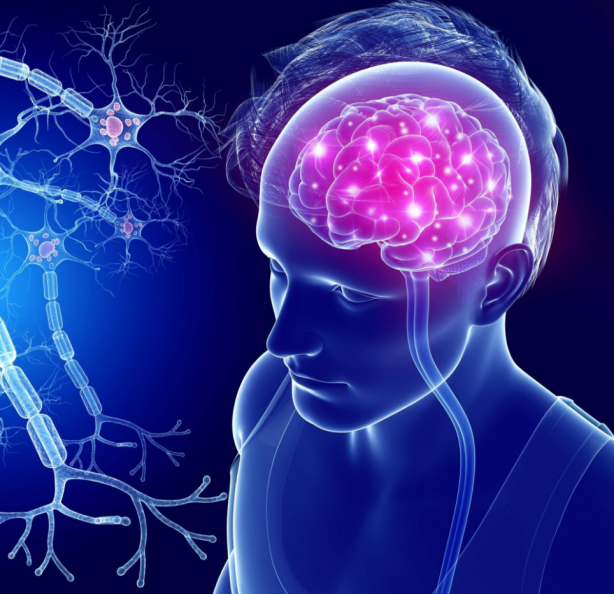 Foto - Demansın 10 erken belirtisi