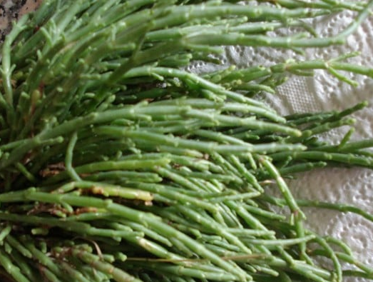 Foto - Demir ambarı bu yiyecek bedendeki cerahati söküp atıyor! Vücudun savunma sistemi çöktü diyenler, yiyince bakın ne oluyor!