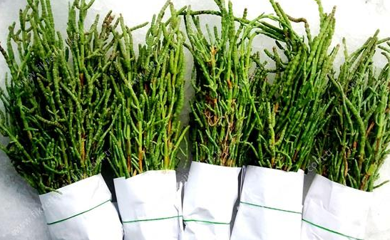 Foto - Demir ambarı bu yiyecek bedendeki cerahati söküp atıyor! Vücudun savunma sistemi çöktü diyenler, yiyince bakın ne oluyor!