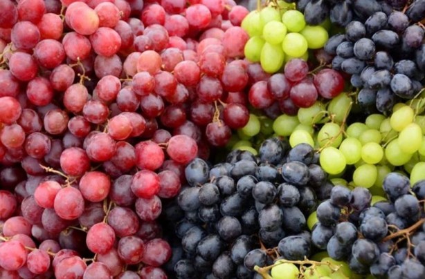 Foto - Demir eksikliğine son veren tescilli meyve!