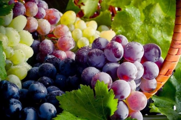 Foto - Demir eksikliğine son veren tescilli meyve!