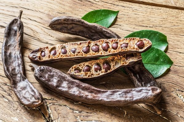 Foto - Demir gibi kemiklerin sırrı 7 besinde: kutu kutu satıldı, değer kazandı! Uzmanlar kabul etti! Teyit edilmiş