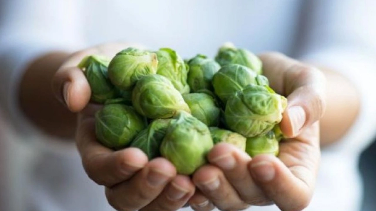 Foto - Demir seviyesi ve kas gücünü arttırıyor! Protein zengini 10 sebze belli oldu