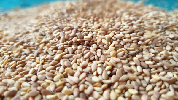 Foto - Demir ve Omega 3 kaynağı! Yalnızca bir kaşığı yetiyor