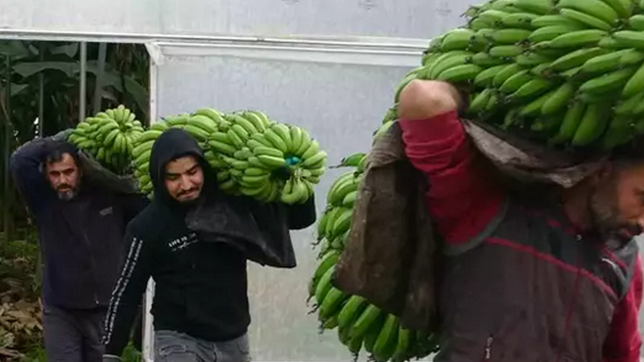 Foto - Demir zengini, magnezyum eksikliğini önlüyor! Günde 1 tane yiyen 100 yaşını görüyor