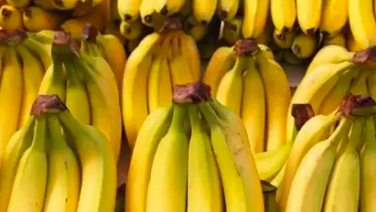 Foto - Demir zengini, magnezyum eksikliğini önlüyor! Günde 1 tane yiyen 100 yaşını görüyor