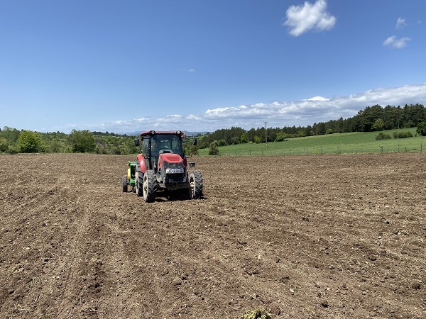 Foto - Denemek için başladılar! Taleplere yetişemiyorlar