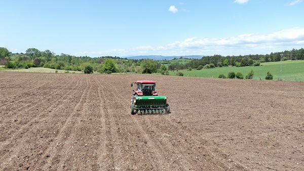 Foto - Denemek için başladılar! Taleplere yetişemiyorlar