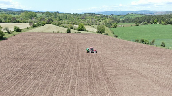 Foto - Denemek için başladılar! Taleplere yetişemiyorlar