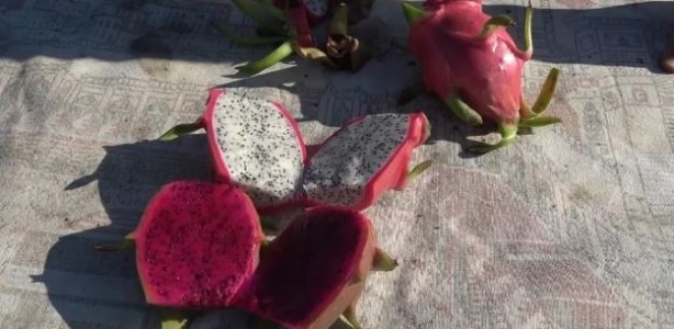 Foto - Denemek için bir tane aldı: Sonuçlarına kendi bile inanamadı